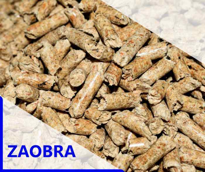 Lee más sobre el artículo Biomasa, la calefacción ecológica del presente y del futuro.