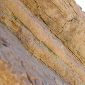 Lee más sobre el artículo La tierra apisonada, una mirada al pasado