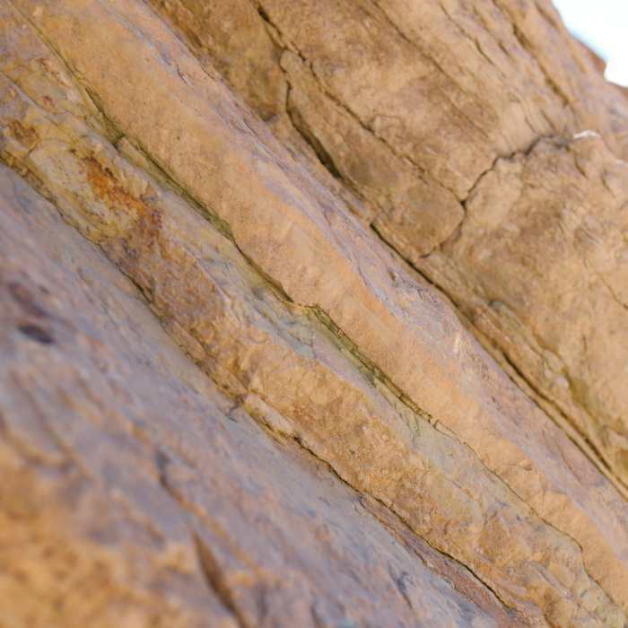 Lee más sobre el artículo La tierra apisonada, una mirada al pasado