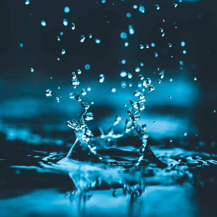 Lee más sobre el artículo El agua en la arquitectura