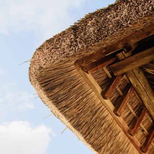 Lee más sobre el artículo Casas de paja, arquitectura sostenible