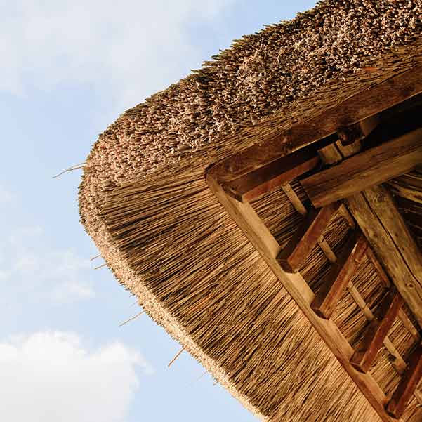 Lee más sobre el artículo Casas de paja, arquitectura sostenible